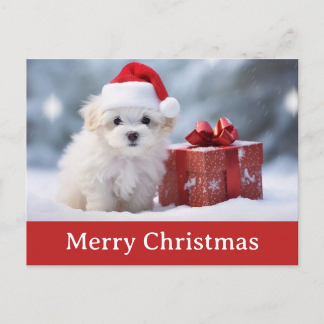 Cute Merry Christmas Puppy Dog Santa Hat Postcard (Front)
