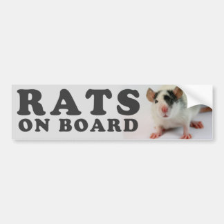(Cute) Mice on board Bumper Sticker