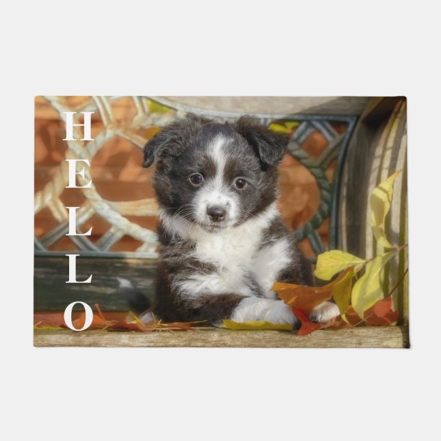 Cute Mini Aussie Shepherd Dog Bi-Colour Puppy Doormat (Front)