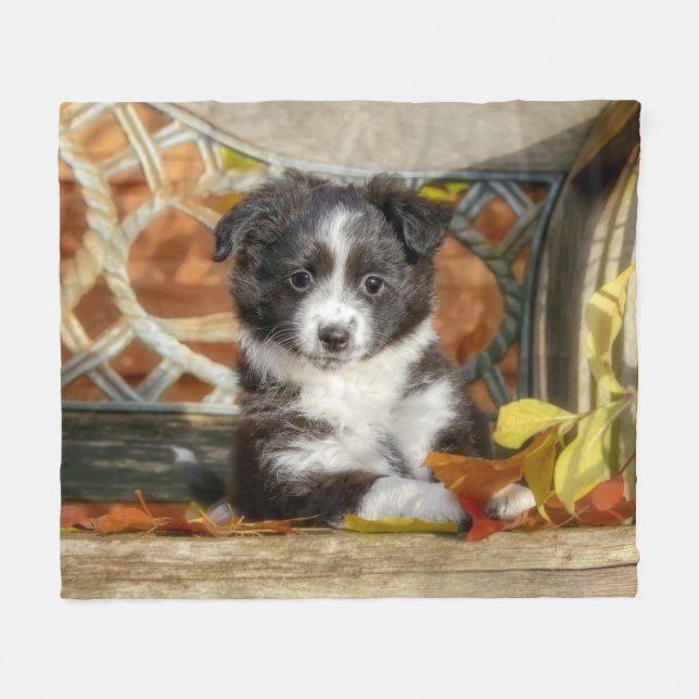 Cute Mini Aussie Shepherd Dog Bi-Colour Puppy _  Fleece Blanket (Front (Horizontal))