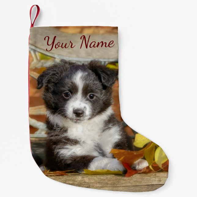 Cute Mini Aussie Shepherd Dog Bi-Colour Puppy - Small Christmas Stocking (Front)