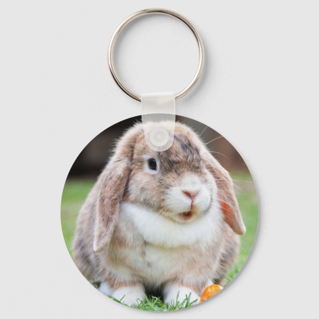 Cute Mini Holland Lop Bunny Rabbit Keychain (Front)