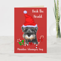 Cute Miniature Schnauzer Christmas