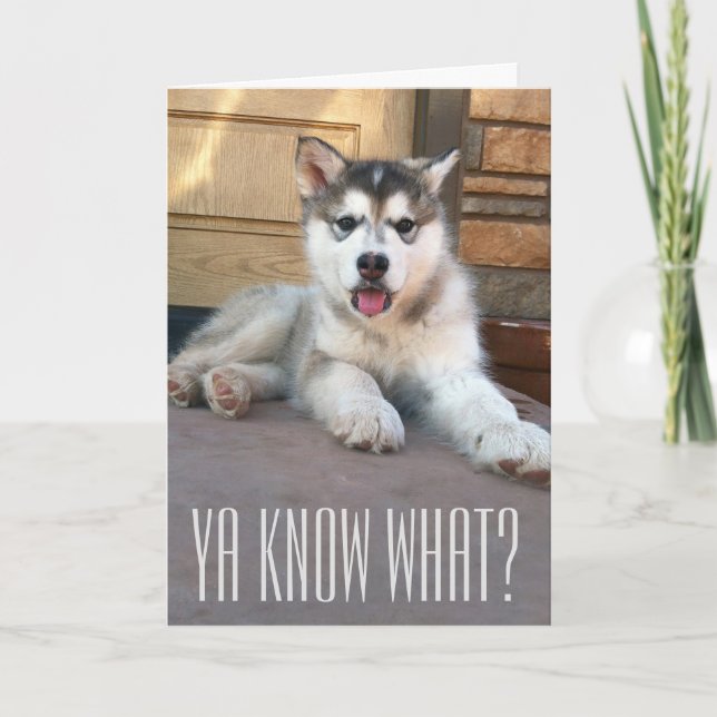 Cute Miss You Alaskan Malamute Puppy Photograph Card (Front)