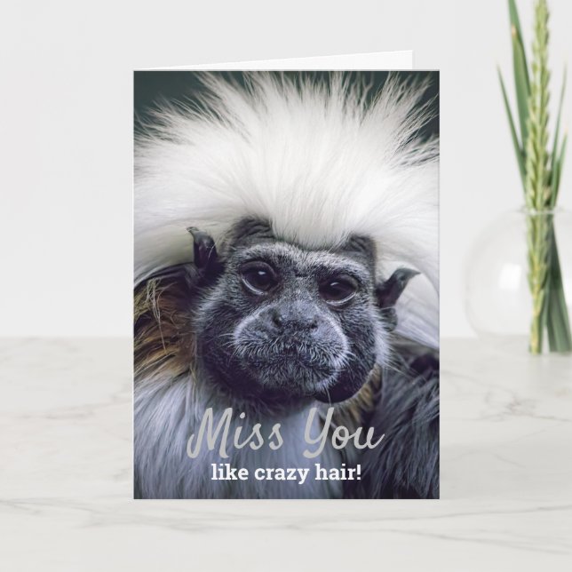 Cute Missing You Bad Hair Day Tamarin Monkey Card (Front)