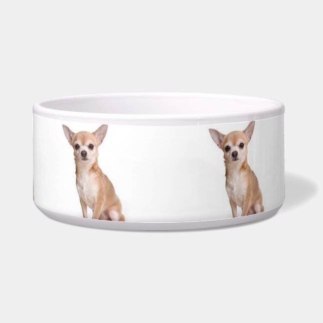Cute Modern Dog Chihuahua Pattern White (Front)