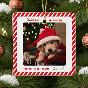 Cute Modern Pet Memorial Keepsake Custom Christmas Ceramic Ornament
