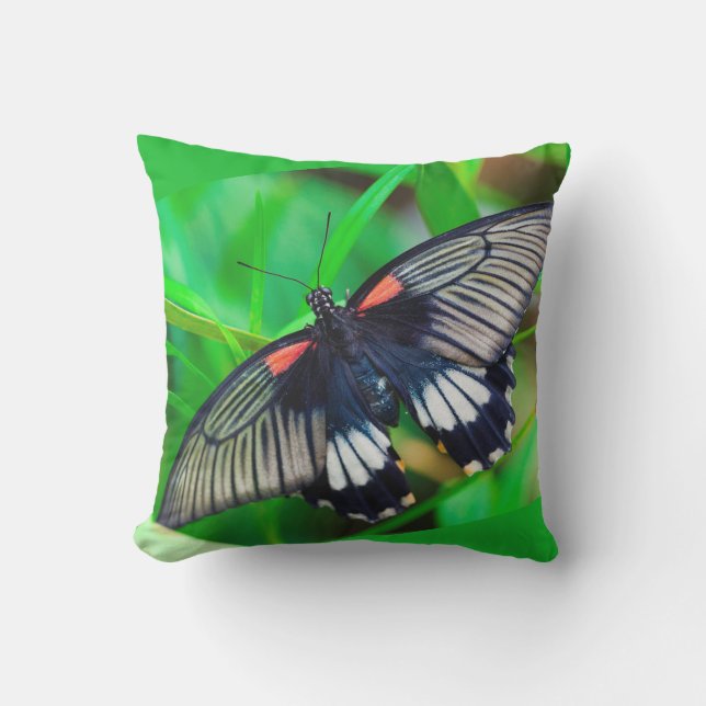 Cute Modern Photography Butterfly and Flower Outdoor Pillow (Front)