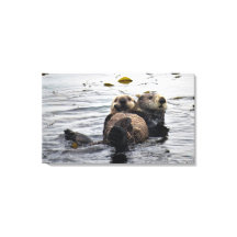 Cute Mom and Pup Sea Otters