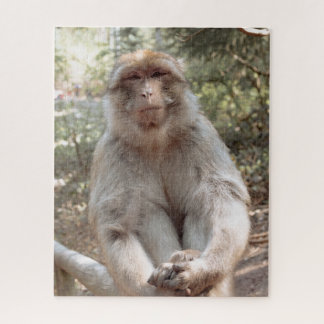 Cute monkey jigsaw puzzle