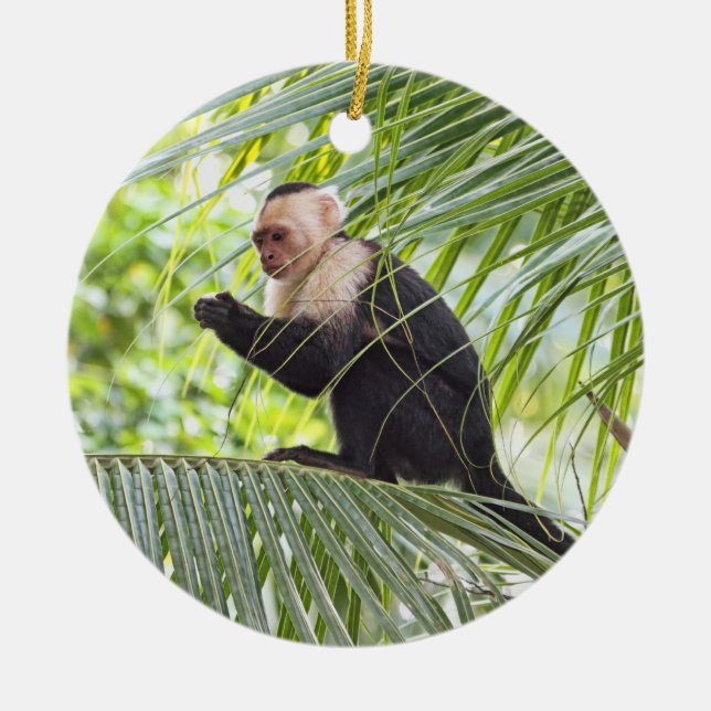 Cute Monkey on a Palm Tree Ceramic Ornament (Front)