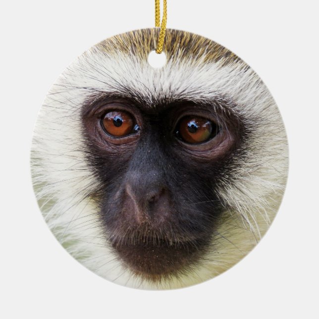 Cute monkey portrait ceramic ornament (Front)