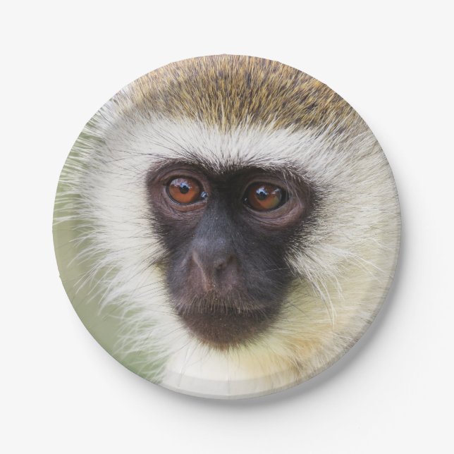 Cute monkey portrait paper plate (Front)