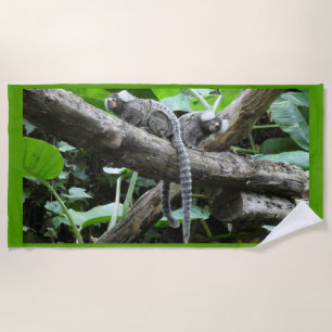 Cute Monkeys Beach Towel