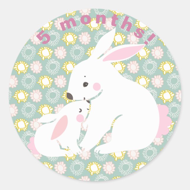 Cute mother & baby bunny Milestone Stickers (Front)