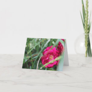 Cute Mothers Day Rose  Holiday Card