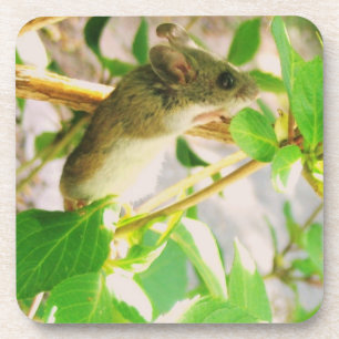 Cute Mouse Coaster