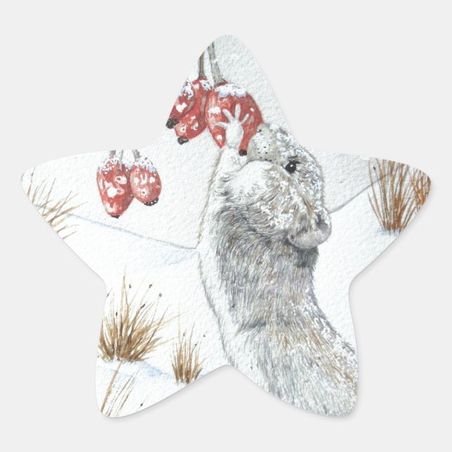 cute mouse eating berries snow scene at christmas star sticker (Front)