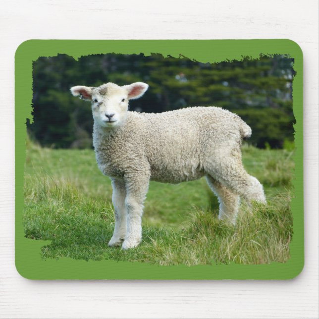 Cute Muddy Lamb Baby Sheep in Meadow Mouse Pad (Front)