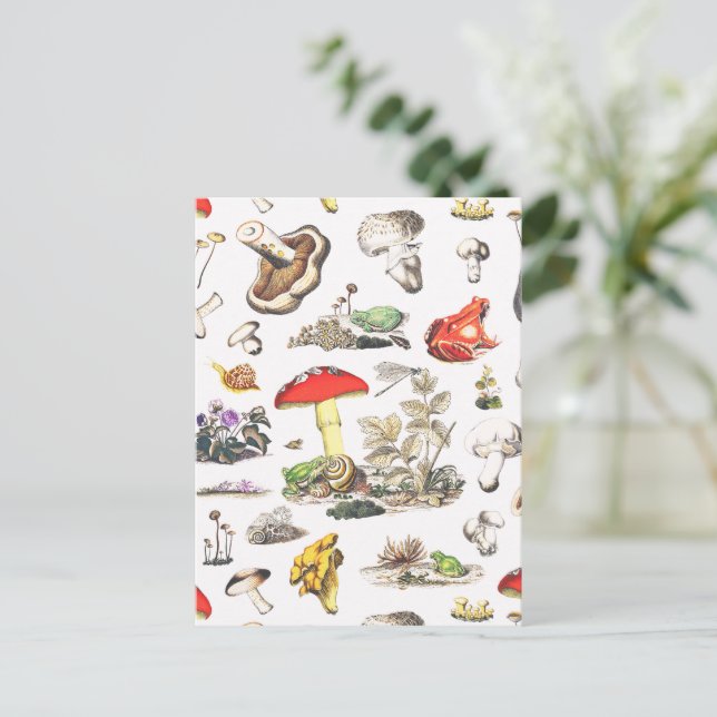 Cute Mushroom Frog Snail Forest Pattern Postcard (Standing Front)