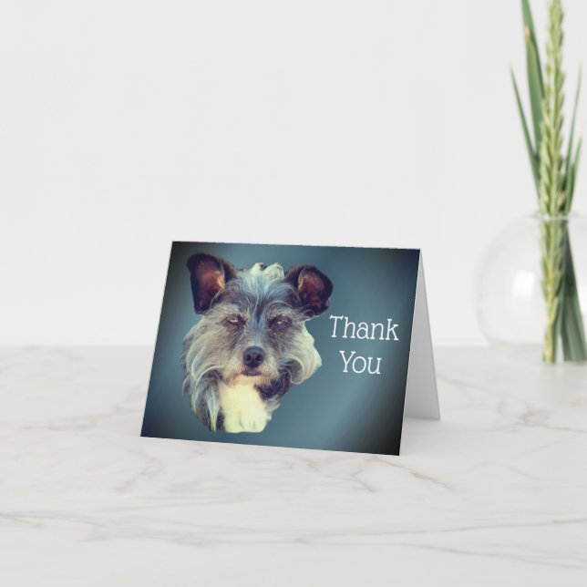 Cute Mutt Terrier Mixed Breed Dog Thank You Card (Front)