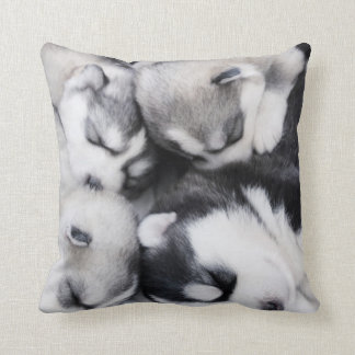 cute n cuddly husky pups pillow