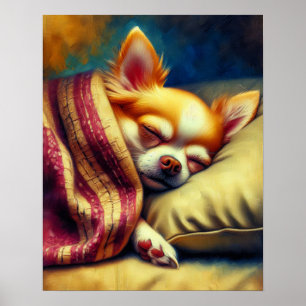 Cute Napping Chihuahua   Poster