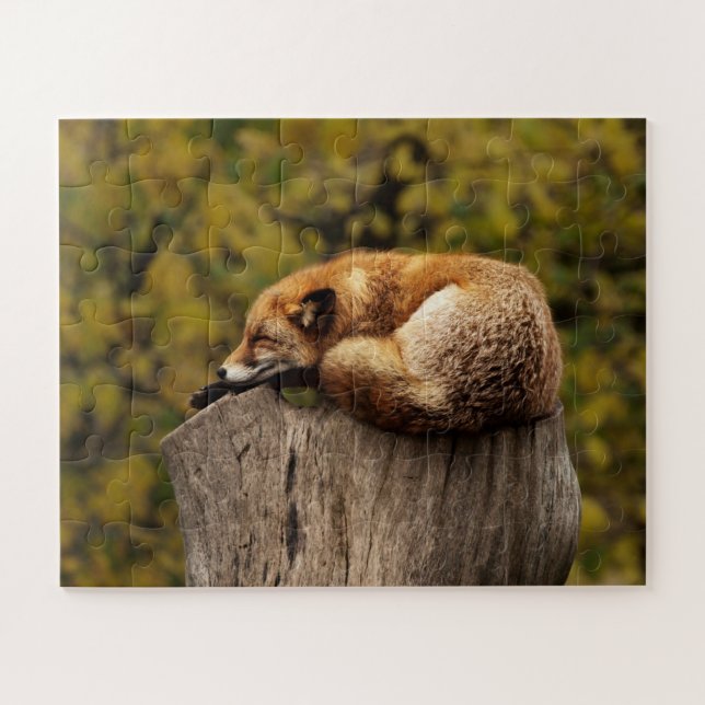 Cute Napping Fox Wildlife Jigsaw Puzzle (Horizontal)
