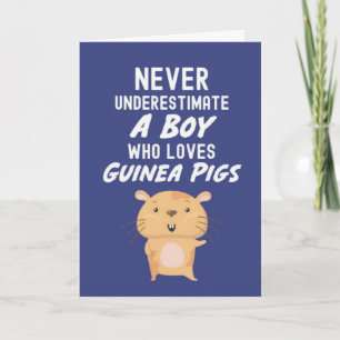 Cute Navy Blue Guinea Pig Cards For Baby Boys Kids