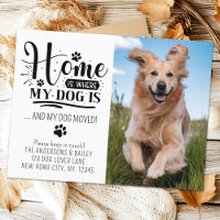 Cute New Address We've Moved Pet Photo Dog Moving