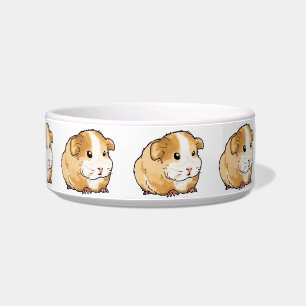 cute new guinea pig bowl