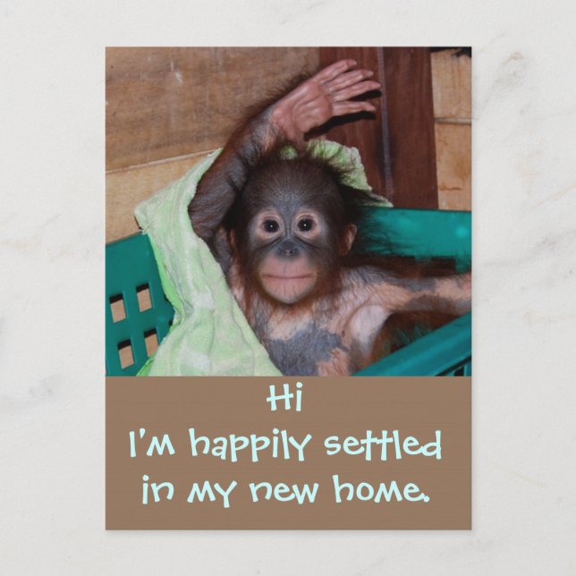 Cute New Home Change of Address Announcement Postcard (Front)