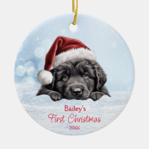 Cute Newfoundland Dog Snow Santa Hat Personalized  Ceramic Ornament