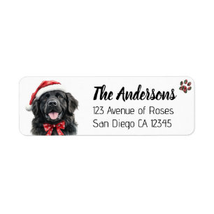 Cute Newfoundland Dog with Santa Hat