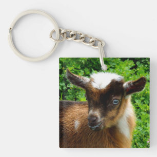 Cute Nigerian Dwarf Dairy Goat Kid Keychain