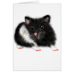 Cute noir blanc hamster syrien cadeaux accessoires
