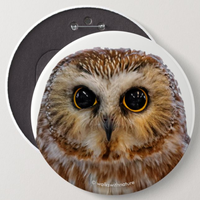 Cute Northern Saw Whet Owl 6 Inch Round Button (Front & Back)