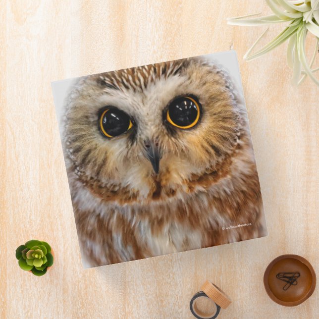 Cute Northern Saw Whet Owl Binder (In Situ)