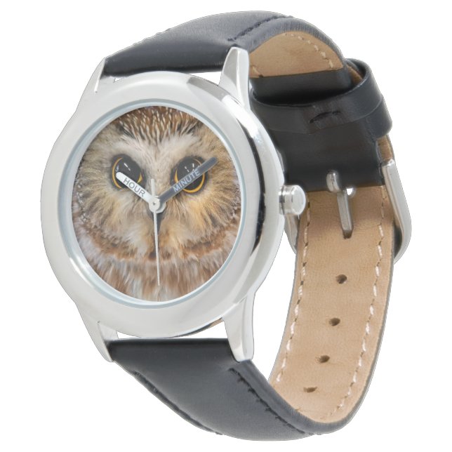 Cute Northern Saw Whet Owl Watch (Angled)