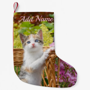 Cute Nosy Baby Cat Kitten in a Flowering Garden Small Christmas Stocking