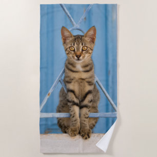 Cute Nosy Tabby Cat Kitten Sitting in a Blue Fence Beach Towel