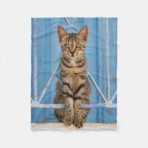 Cute Nosy Tabby Cat Kitten Sitting in a Blue Fence Fleece Blanket