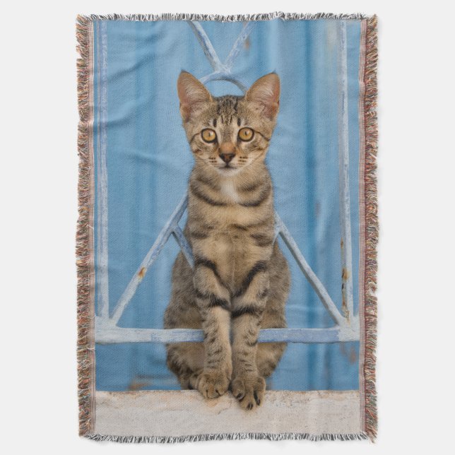 Cute Nosy Tabby Cat Kitten Sitting in a Blue Fence Throw Blanket (Front Vertical)
