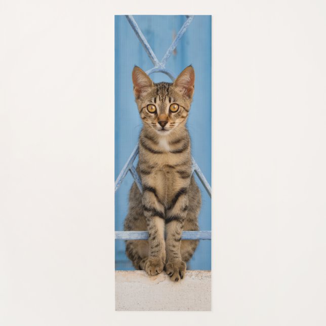 Cute Nosy Tabby Cat Kitten Sitting in a Blue Fence Yoga Mat (Front)