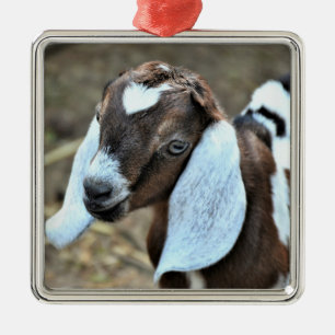 Cute Nubian Dairy Goat Kid Metal Ornament