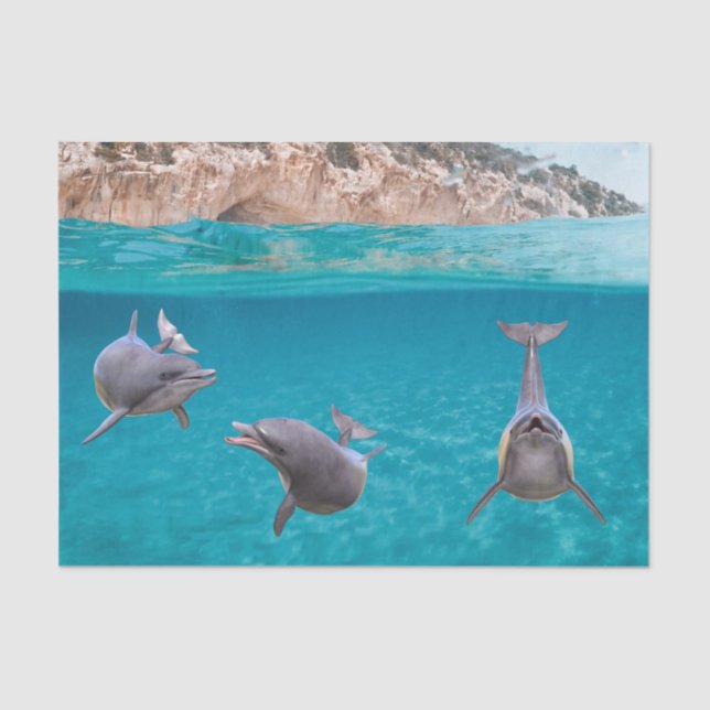 Cute Ocean Dolphin Lover Sealife Ocean  Tissue Paper (Front)