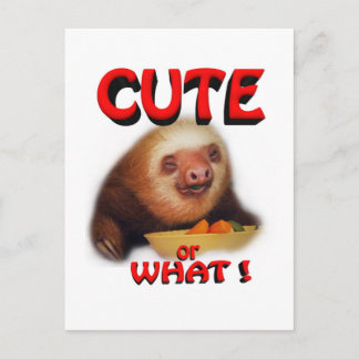 cute or what postcard