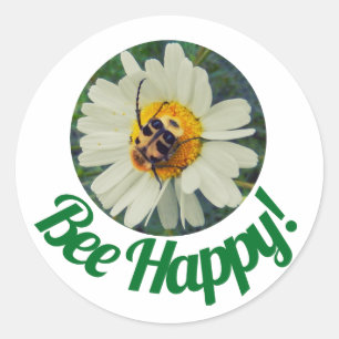 Cute Orange & Black Bee on Daisy Circle Design Classic Round Sticker