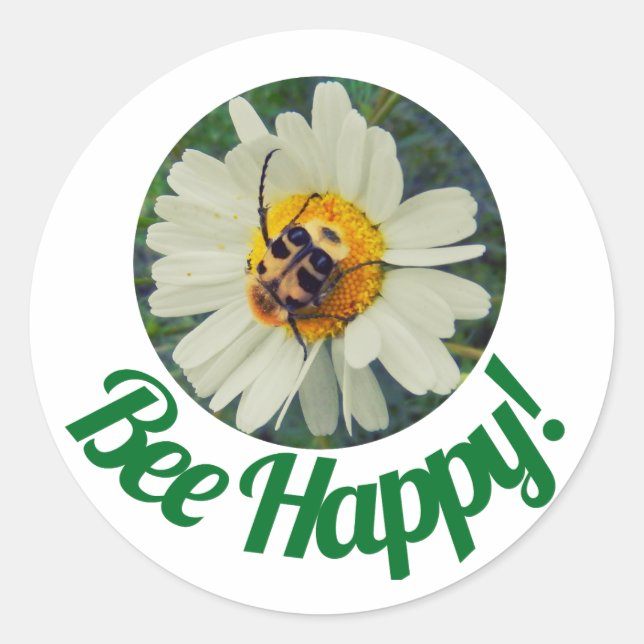 Cute Orange & Black Bee on Daisy Circle Design Classic Round Sticker (Front)