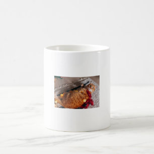 Cute Orange Cat Mug